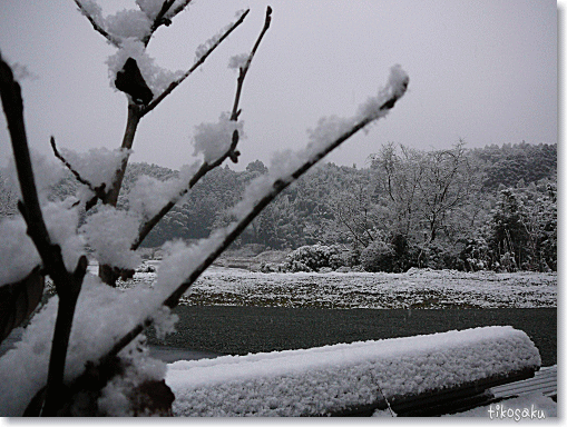 雪＾＾♪