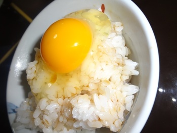 卵かけご飯~烏骨鶏~