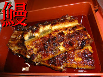 鱒を釣って喰らって③鰻