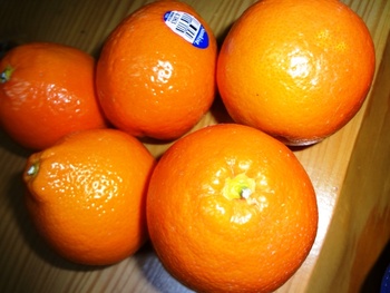 オレンジがうまい!!