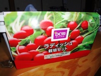 ラディッシュ栽培♪