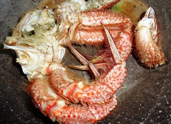 熊本煙霧現象・肴