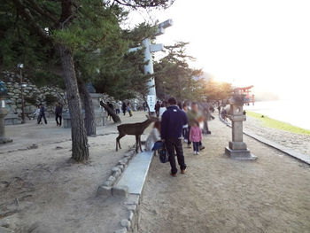 嚴島神社~広島・宮島~