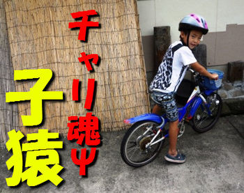 暴走族子猿要注意!
