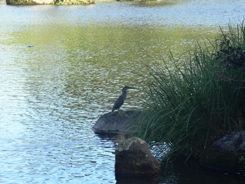 水前寺公園