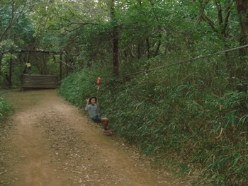 熊本 立田山憩いの森