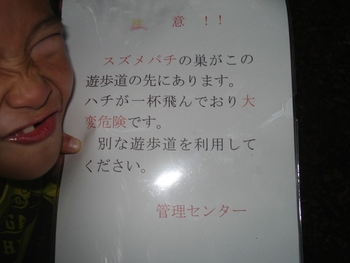 熊本 立田山憩いの森