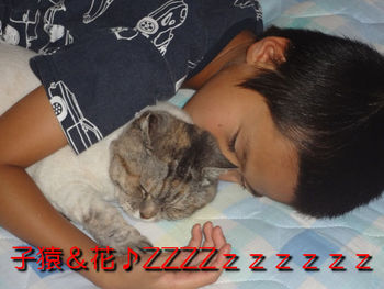 子猿と花(息子と猫)