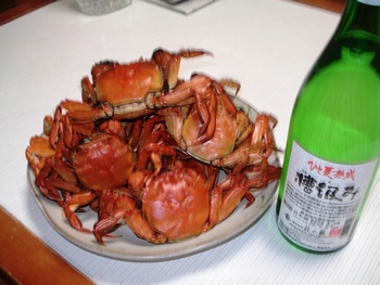 山太郎祭りinなごみ