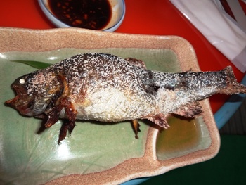 釣り堀で流しそうめん♪