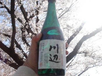 花見~宴~2012熊本