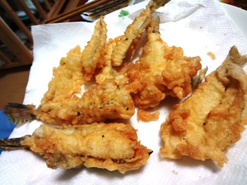 釣り宴後のサプライズ♪