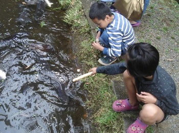 鱒を釣って喰らって②