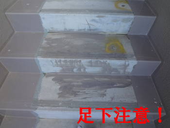注意指導で注意♪コケタ・・・・