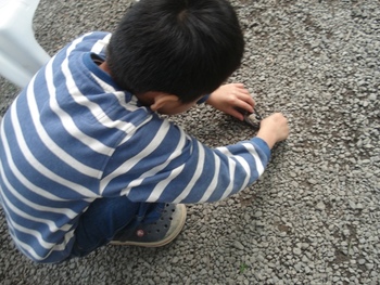 鱒を釣って喰らって