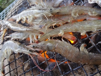 釣りして天草海の幸を堪能~七厘~花見