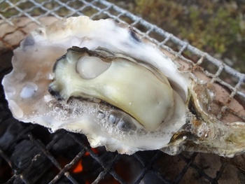 釣りして天草海の幸を堪能～七厘～花見