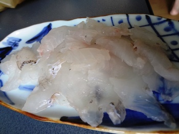 釣りして天草海の幸を堪能~七厘~花見