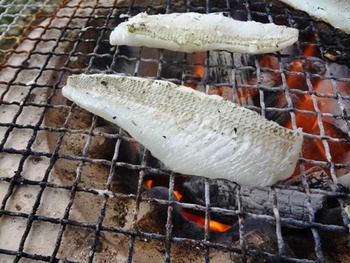 釣りして天草海の幸を堪能～七厘～花見