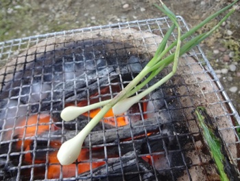 釣りして天草海の幸を堪能～七厘～花見