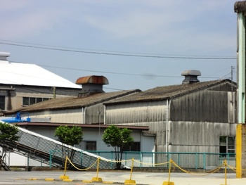 塗装現場調査住宅に燕ちゃん!!