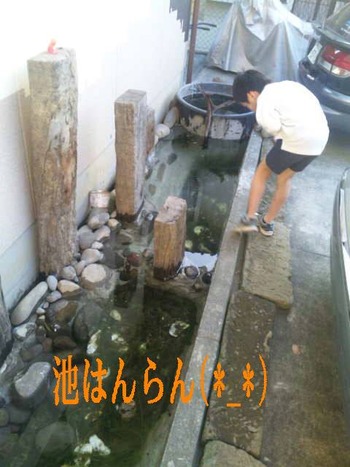 池はんらん
