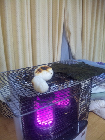 どんどや!