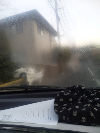 凍ったぞい(*_*)