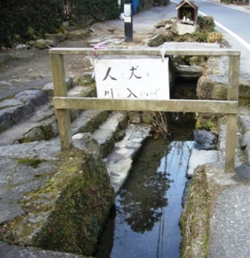 島崎の道路わきにて発見