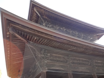 阿蘇神社付近で遊び喰らう♪