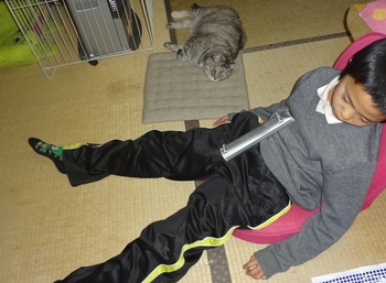 脱力(寝)してる子猿と猫♪