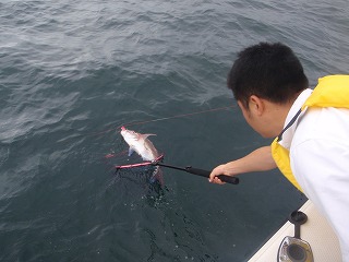 天草湯島近海でタイ釣り挑戦!