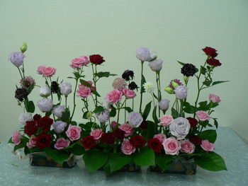 薔薇の季節