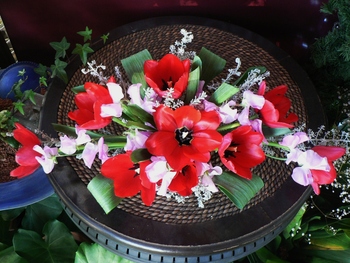 ちゅうりっぷの花