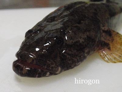 犯人は・・・