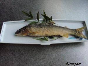 鮎料理の取材!