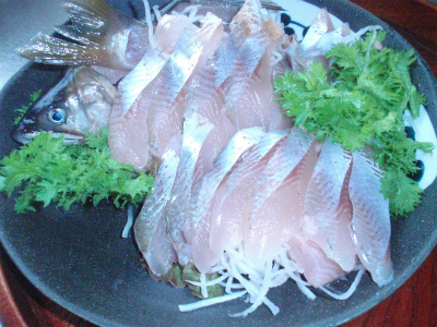 朝獲れた・・・