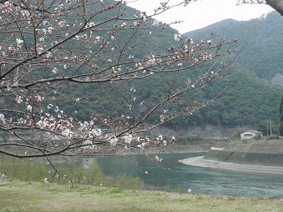 落ちた~