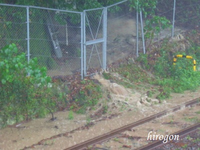雨に泣いてます・・・
