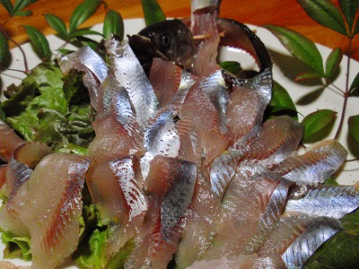 昨夜の・・・