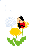 定休日です♪