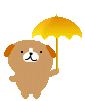 今日は・・・