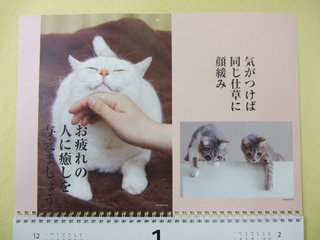 癒されてます~♪