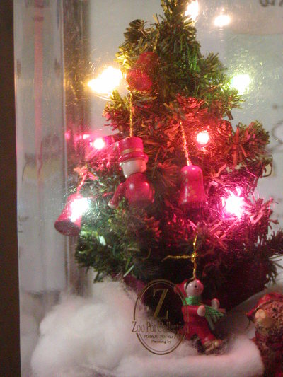 昨日も ボケ全開~~(クリスマスイブなのに・・)