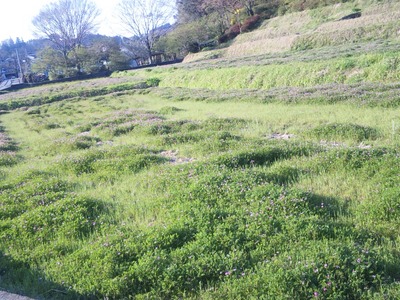 心の癒しを求め 自然を楽しむ♪(写真編)