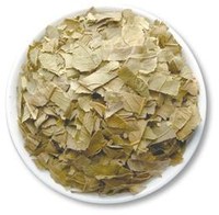 健康茶「万能茶」の原材料－グァバ茶－