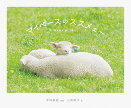 再入荷あり!めくるめくデザイン&フォトブックフェアは5/31(日)18時まで☆ 再入荷あり!めくるめくデザイン&フォトブックフェアは5/31(日)18時まで☆