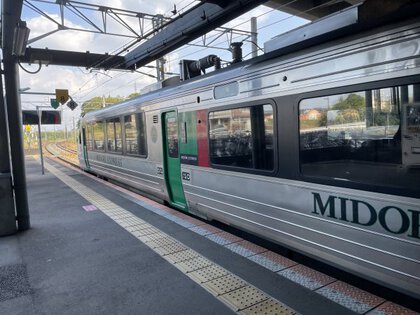 783系特急みどり