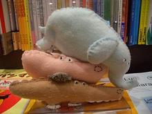 雨の季節に合う絵本が入荷しました。