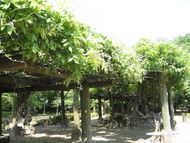 監物台植物園へGO